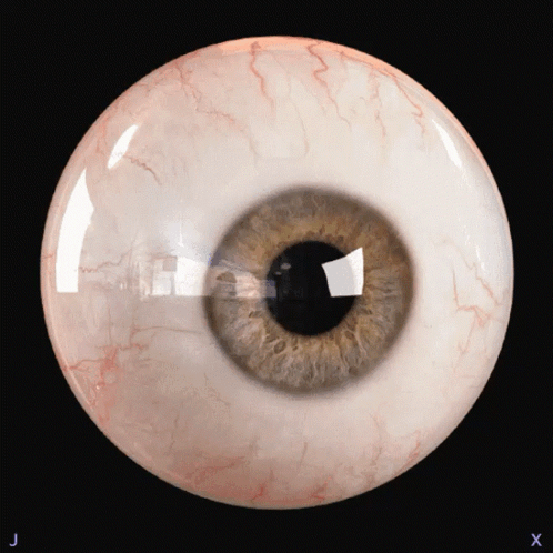 A Close Up Of A Human Eye With The Letters J And X On The Bottom GIF