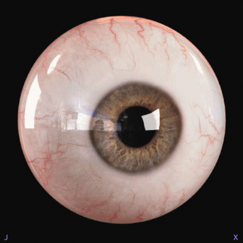 A Close Up Of A Human Eye With The Letters J And X On The Bottom GIF