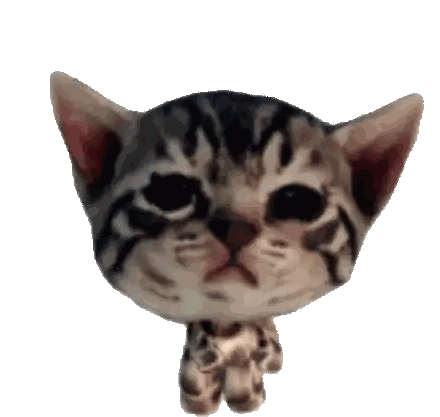 a close up of a kitten 's face with a white background