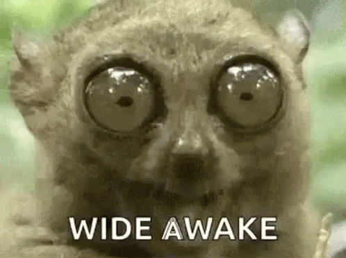 a close up of a lemur with big eyes and the words `` wide awake '' written next to it .