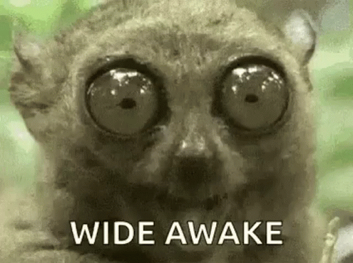 a close up of a lemur with big eyes and the words `` wide awake '' written on it .