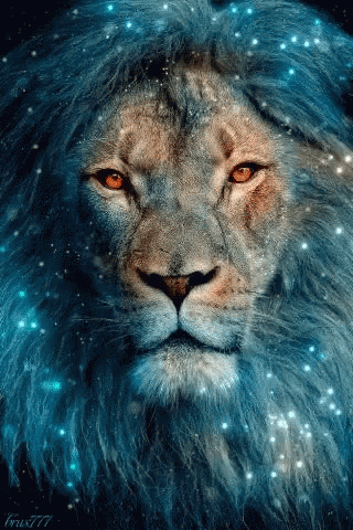 A Close Up Of A Lion 'S Face With A Blue Mane And Orange Eyes GIF