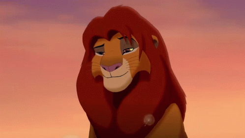 A Close Up Of A Lion 'S Face With A Pink Sky In The Background GIF