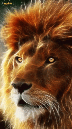 A Close Up Of A Lion 'S Face With The Number 63 On It GIF