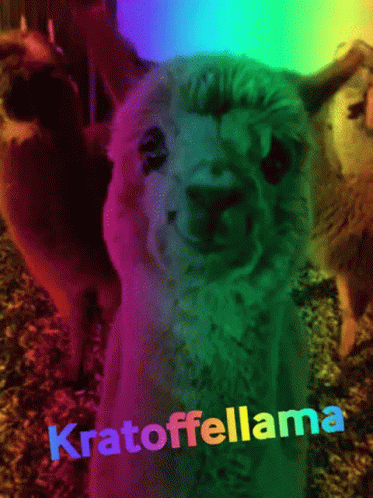 A Close Up Of A Llama With The Word Kratoffellama Written On It GIF