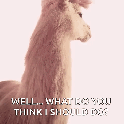 A Close Up Of A Llama With The Words `` Well ... What Do You Think I Should Do '' Written Below It . GIF