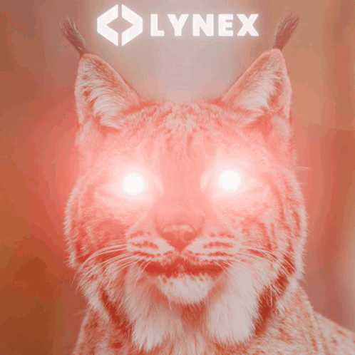 A Close Up Of A Lynx 'S Face With A Lynex Logo In The Background GIF