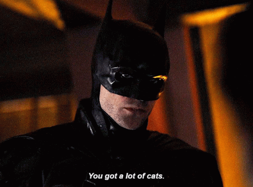 A Close Up Of A Man In A Batman Costume Saying " You Got A Lot Of Cats " GIF