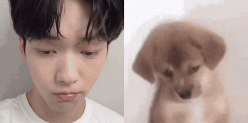 A Close Up Of A Man 'S Face Next To A Close Up Of A Dog GIF