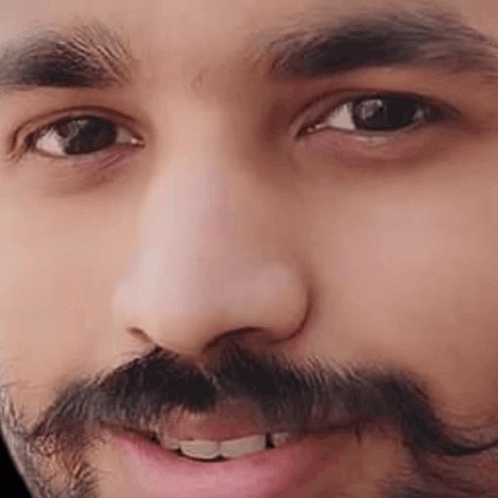A Close Up Of A Man 'S Face With A Beard And Mustache Smiling . GIF