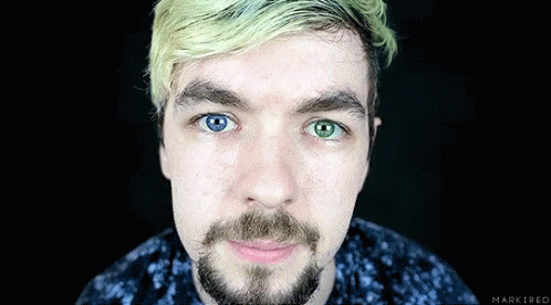 A Close Up Of A Man 'S Face With A Beard And Two Different Colored Eyes GIF
