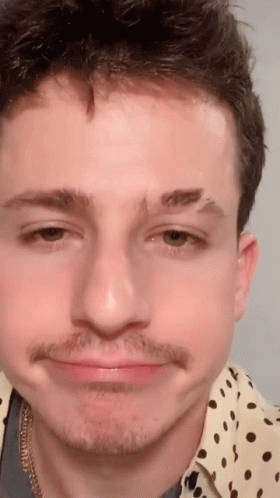 A Close Up Of A Man 'S Face With A Beard GIF
