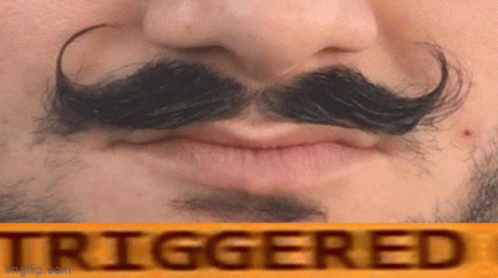A Close Up Of A Man 'S Face With A Fake Mustache And The Word Triggered On The Bottom GIF