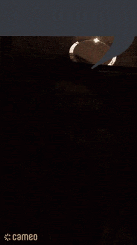 A Close Up Of A Man 'S Face With A Speech Bubble Above It . GIF