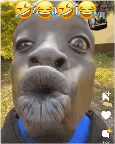 A Close Up Of A Man 'S Face With Smiley Faces On His Forehead GIF