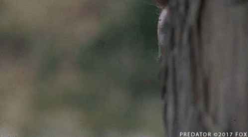 A Close Up Of A Man 'S Face With The Word Predator On The Bottom GIF