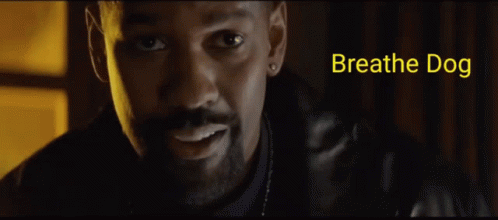 A Close Up Of A Man 'S Face With The Words Breathe Dog Below It GIF
