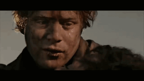 A Close Up Of A Man 'S Face With The Words " Do You Remember The Shire Mr. Frodo " Below Him GIF
