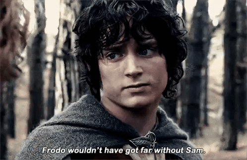 A Close Up Of A Man 'S Face With The Words `` Frodo Wouldn 'T Have Got Far Without Sam '' GIF