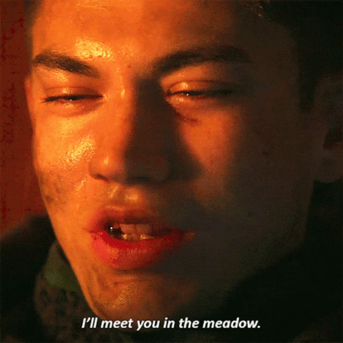 A Close Up Of A Man 'S Face With The Words " I 'Ll Meet You In The Meadow " Below It GIF