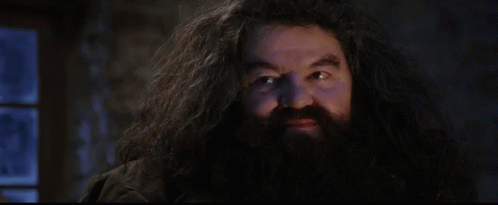 a close up of a man with a beard and long hair .