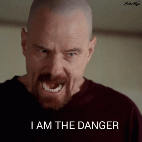 A Close Up Of A Man With A Beard And The Words I Am The Danger GIF