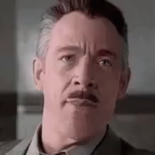 A Close Up Of A Man With A Mustache Wearing A Suit And Tie . GIF