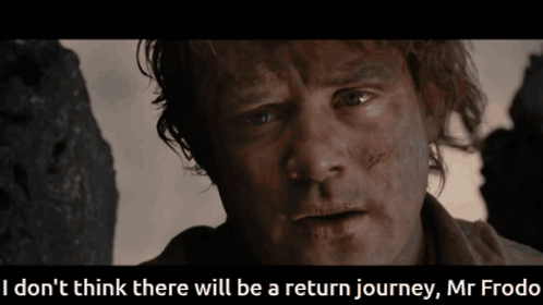 A Close Up Of A Man With The Words " I Don T Think There Will Be A Return Journey Mr Frodo " Below Him GIF