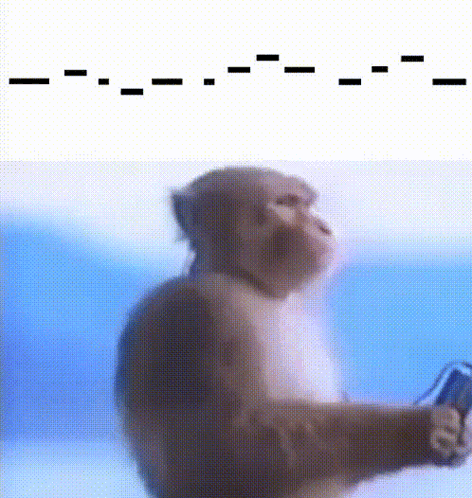 A Close Up Of A Monkey Holding A Cell Phone In Front Of A Blue Background GIF