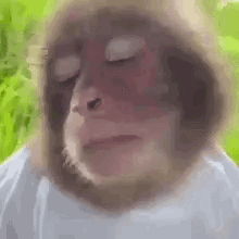 A Close Up Of A Monkey 'S Face With Its Eyes Closed And A Hat On . GIF