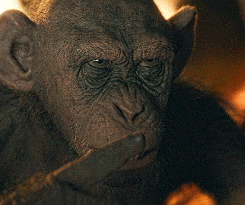 A Close Up Of A Monkey 'S Face With The Words Bad Ape Above It GIF