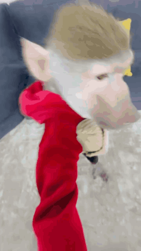 A Close Up Of A Monkey Wearing A Red Hoodie And A Beard . GIF