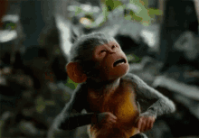 A Close Up Of A Monkey With Its Mouth Open GIF