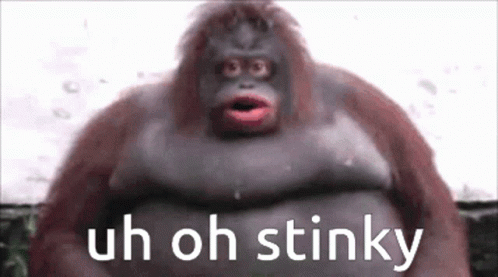A Close Up Of A Monkey With The Words Uh Oh Stinky Above It GIF