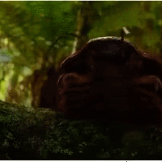 A Close Up Of A Mushroom With A Green Background GIF