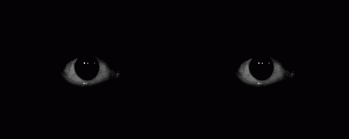 A Close Up Of A Pair Of Eyes In The Dark . GIF