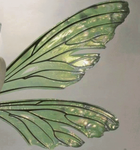A Close Up Of A Pair Of Green Fairy Wings . GIF