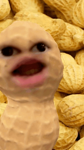 Close Up Of Peanut With Face GIF