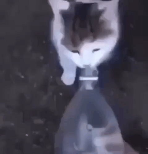 A Close Up Of A Person Holding A Bottle Of Water . GIF