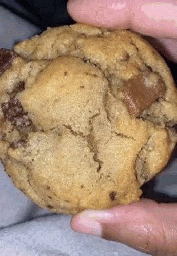 A Close Up Of A Person Holding A Chocolate Chip Cookie In Their Hands . GIF