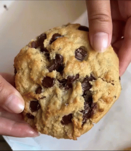 A Close Up Of A Person Holding A Chocolate Chip Cookie With A Bite Taken Out Of It GIF