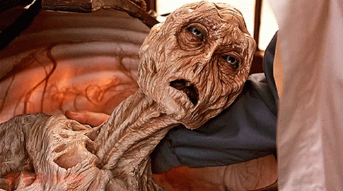 A Close Up Of A Person Holding A Creature With A Very Long Neck GIF
