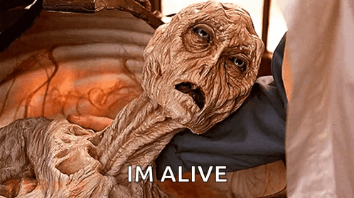 A Close Up Of A Person Holding A Mummy With The Words Im Alive Above It GIF