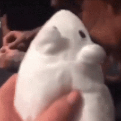 A Close Up Of A Person Holding A White Stuffed Animal . GIF