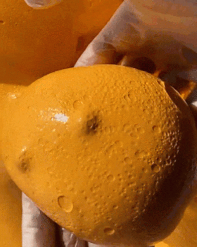 A Close Up Of A Person Holding A Yellow Potato With Water Drops On It GIF
