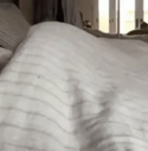 A Close Up Of A Person Laying On A Bed With A Striped Blanket . GIF