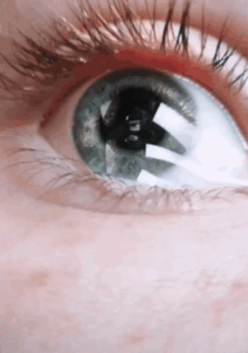 A Close Up Of A Person 'S Blue Eye With Long Eyelashes GIF