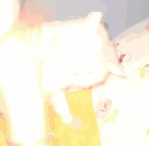 A Close Up Of A Person 'S Ear With A Pink Flower On It GIF