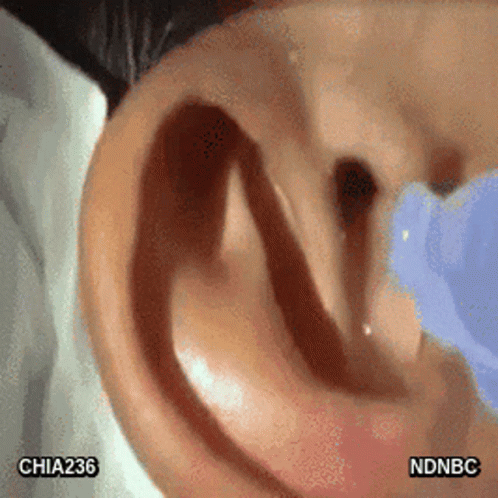 A Close Up Of A Person 'S Ear With Chia236 And Ndnbc Written On It GIF
