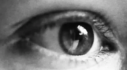 A Close Up Of A Person 'S Eye In A Black And White Photo GIF
